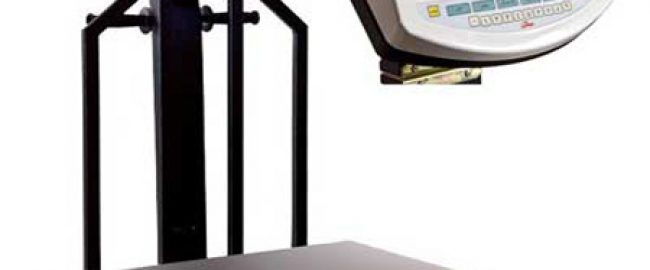 باتری پشتیبانی داخلی باسکول